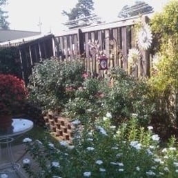 Lush flower garden in full bloom